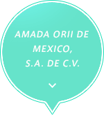 ORIIMEC DE MEXICO S.A.DE.C.V.